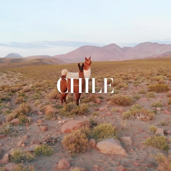Chile es tendencia, y no es casualidad. Desde el desierto de Atacama hasta la Patagonia salvaje, Chile escribe su propia historia. Este país nos invita a vivirlo con todos los sentidos.
¿Qué experiencia te gustaría vivir?