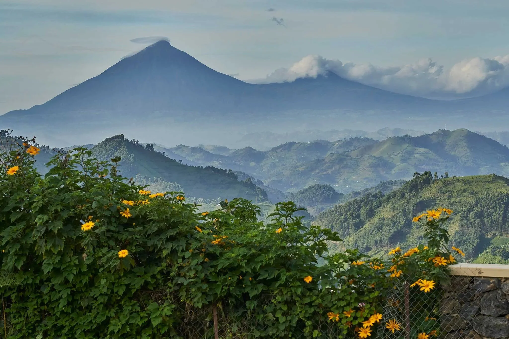 nkuringo gorilla_landscape_rwanda.jpg