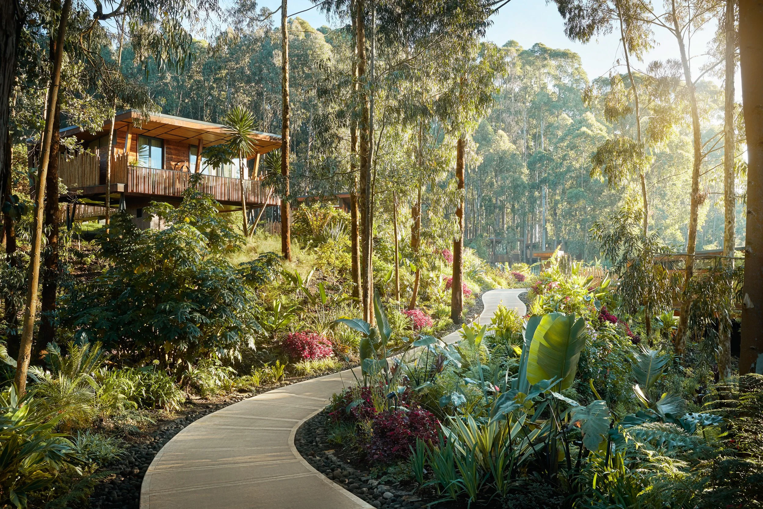9-OO_GorillasNest_Exteriors_Villa_Wide_17041_MASTER.jpg