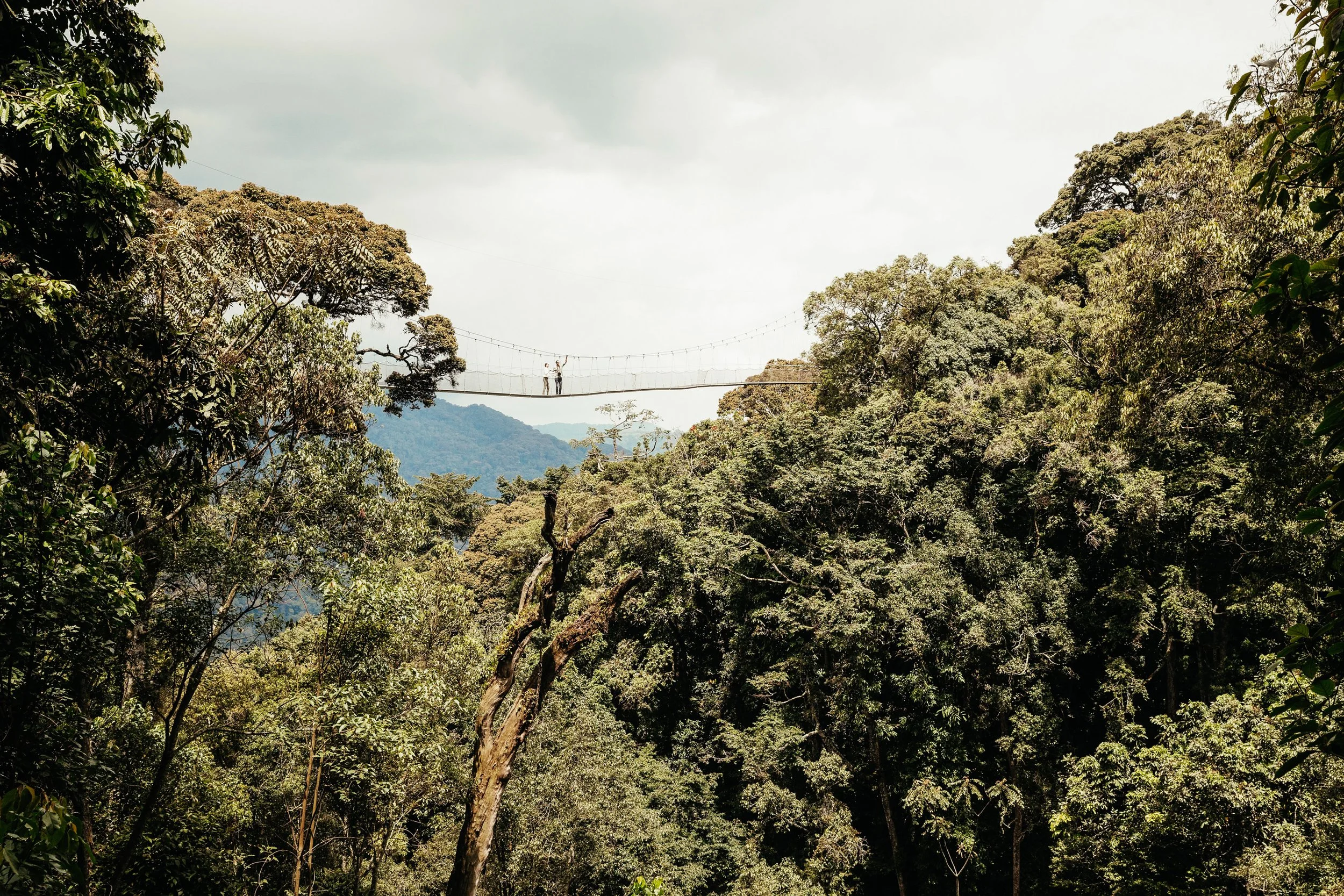 11-NH_OO_Lifestyle_Canopy_Walk_0019_MASTER.jpg