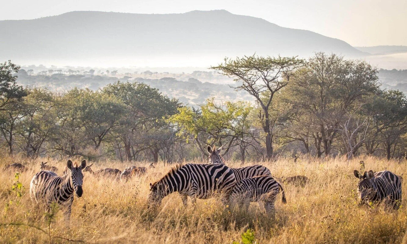 manyoni game reserve_southafrica 4.jpg