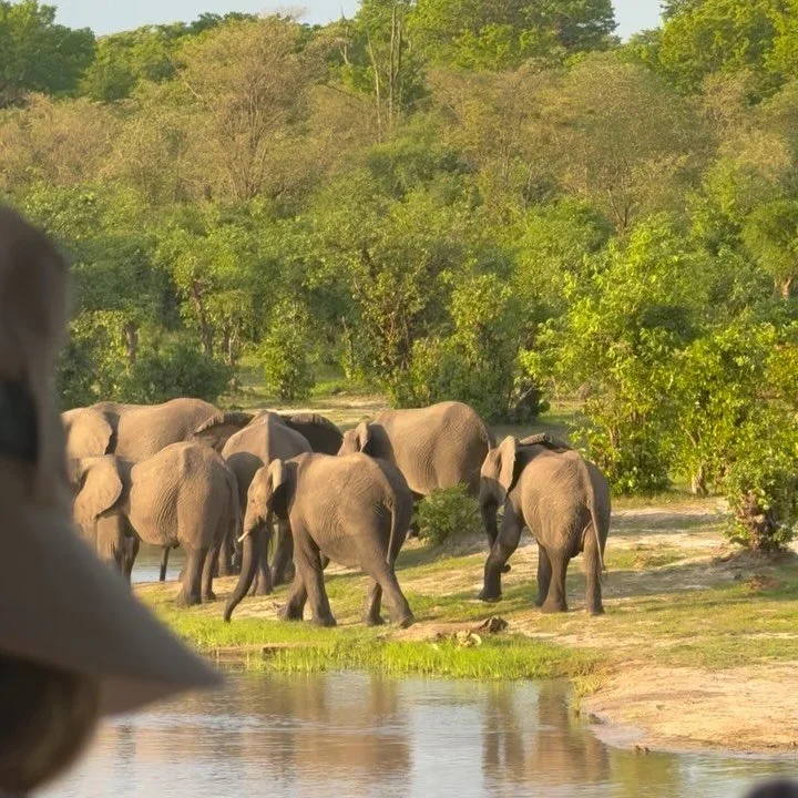 A puertas de terminar el a&ntilde;o hago un balance de los viajes, y no me queda m&aacute;s que estar agradecida. Hemos trabajado mucho y bien, con equilibrio y calidad. Y lo mejor, la compa&ntilde;&iacute;a, viajeros nuevos y que ya conozco. Todos e