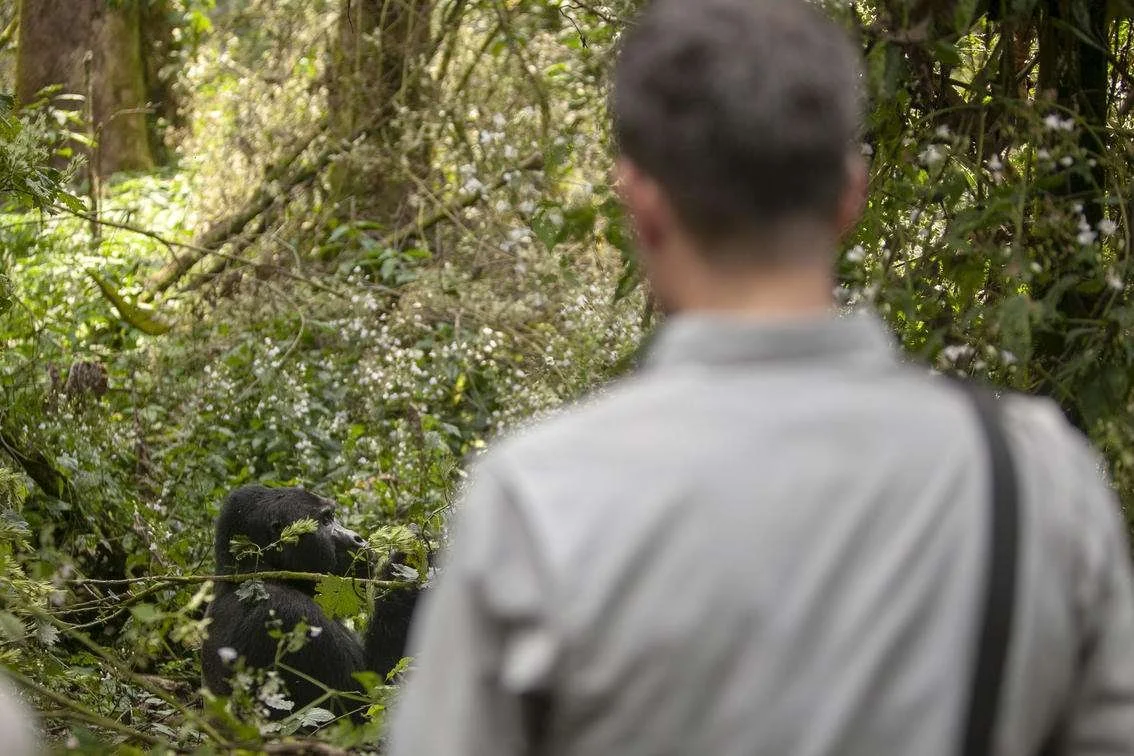 Uganda y Tanzania. Esencia africana.