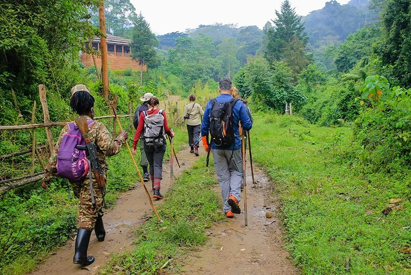 Secretos de Uganda. Susurros de la perla de África.