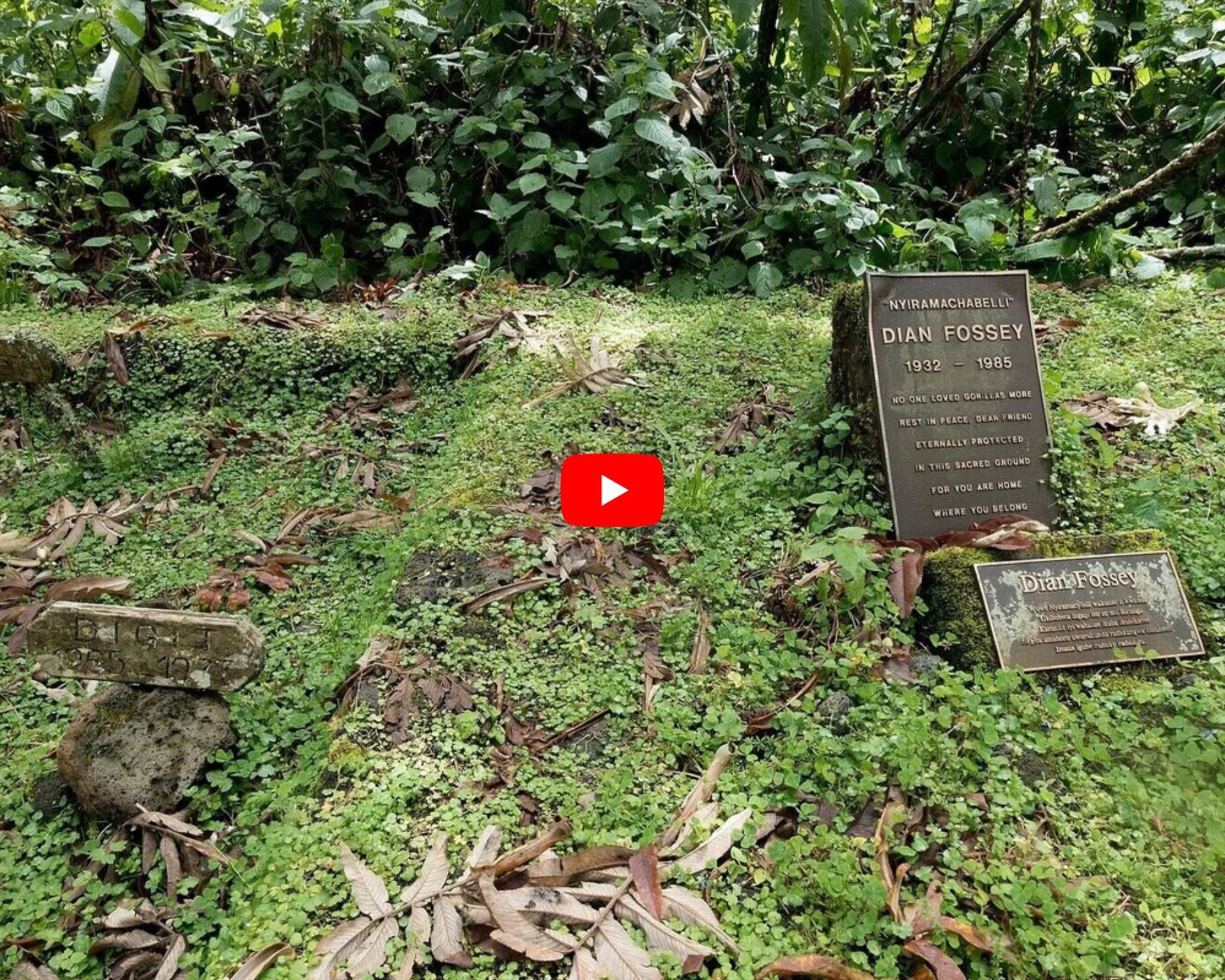 hike to dian fossey grave.jpg