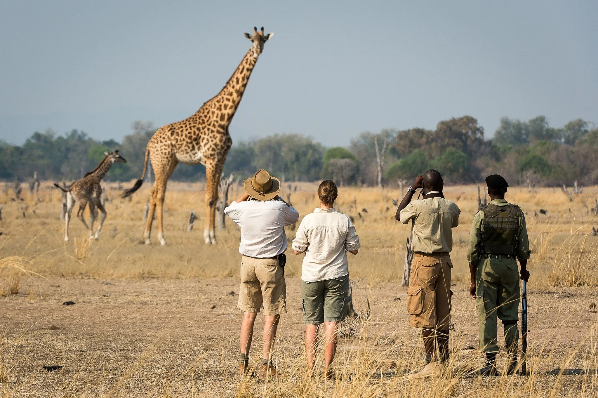luangwa busch camping zambia.jpg