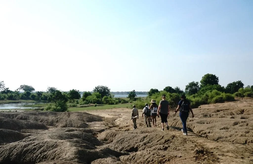 lumbe river zambia alojamiento_4-Activity-Walking-Safari-1024x664-1.jpg