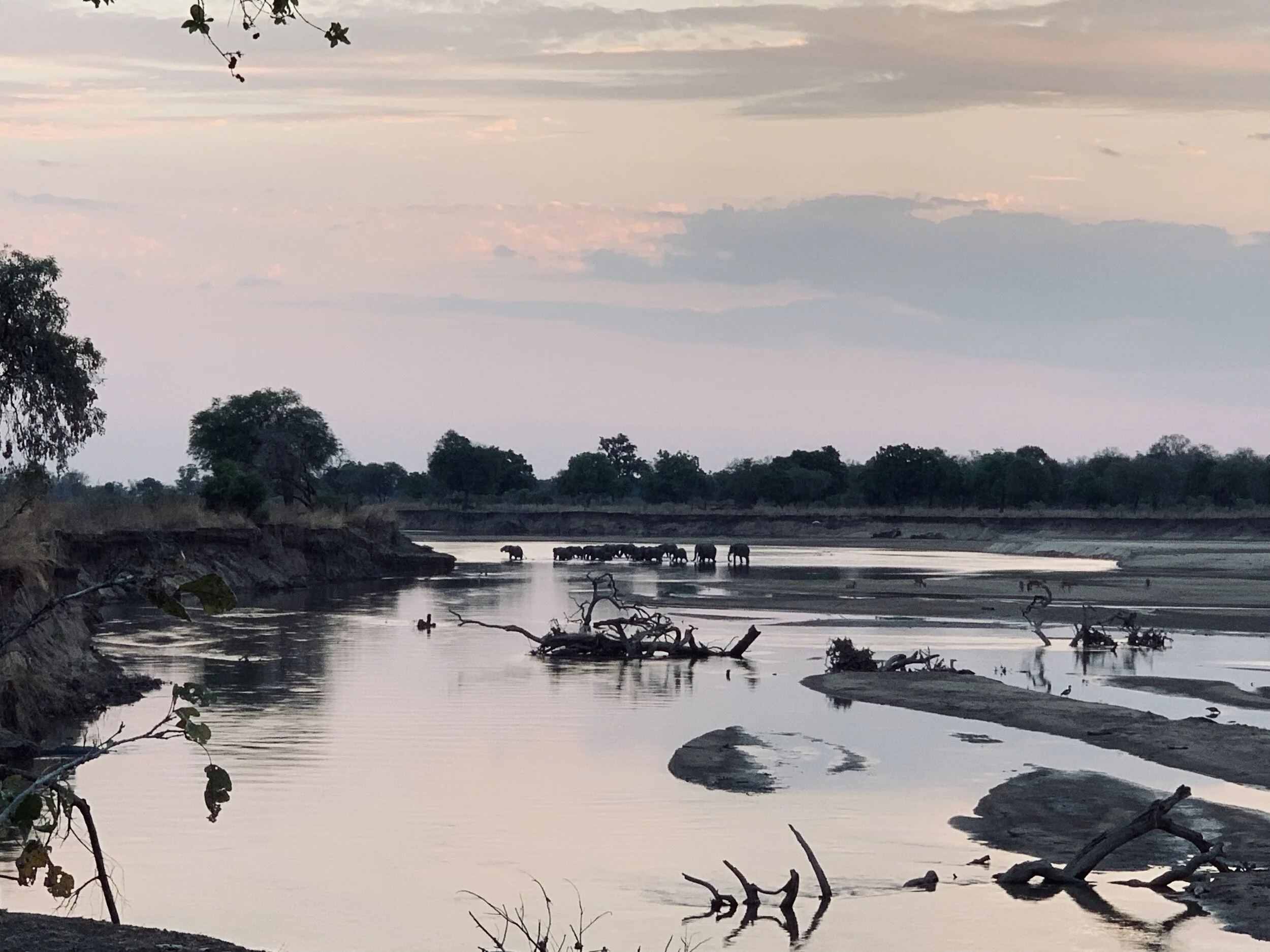 safari explorers camp zambia.jpeg