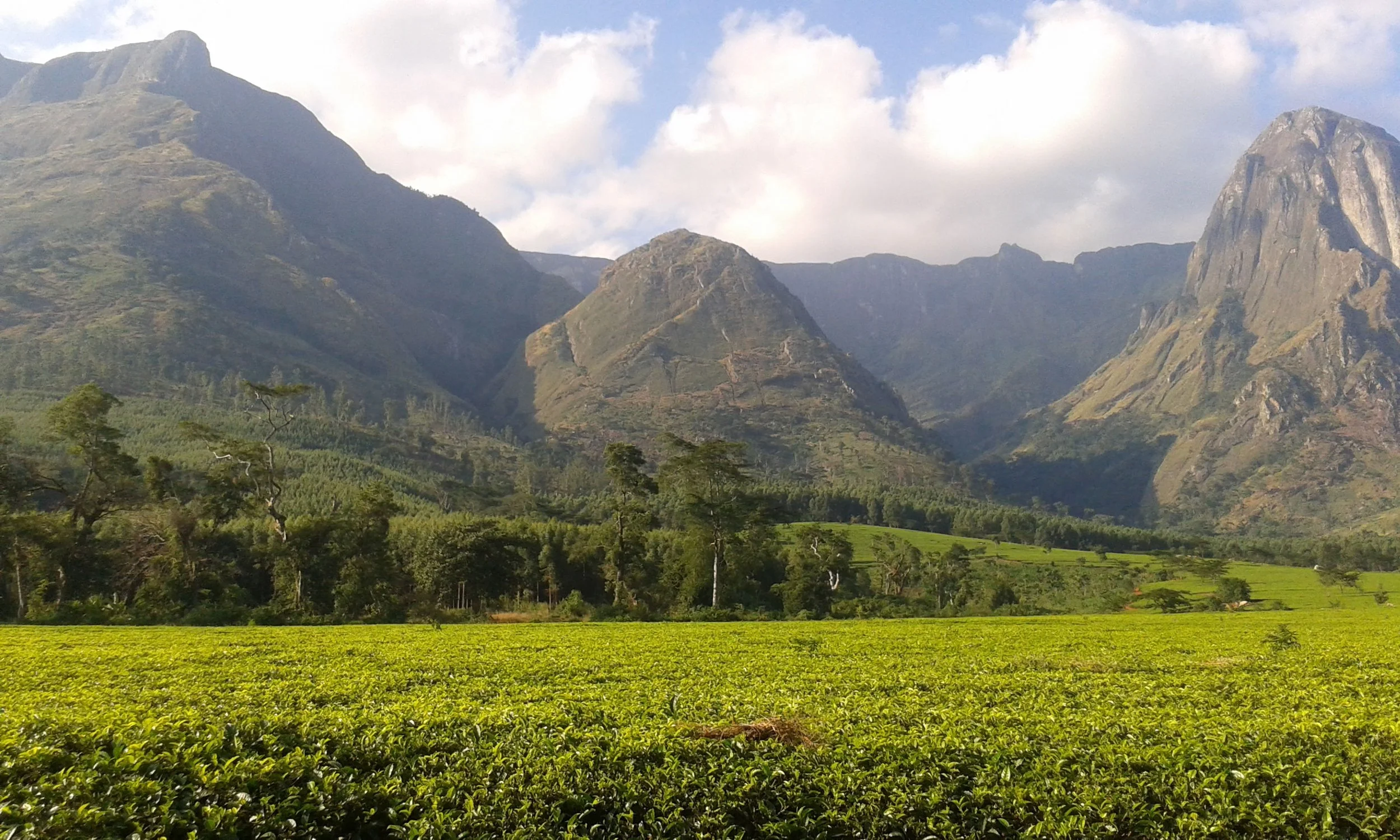 mulanje_malawi