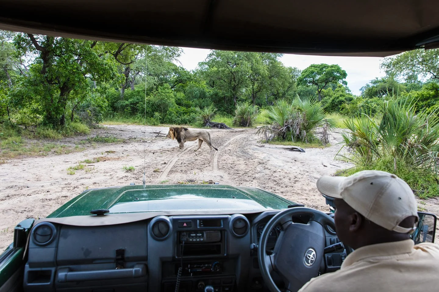 wildlife reserve majete malawi.jpg