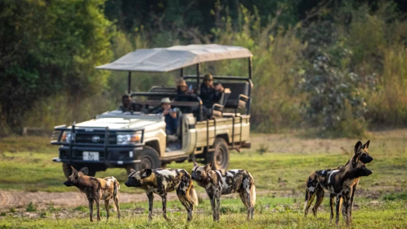 Mkulumadzi Lodge.jpg