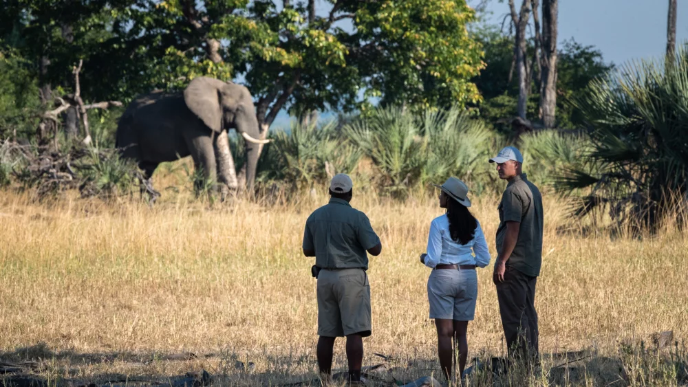 liwonde national park.png