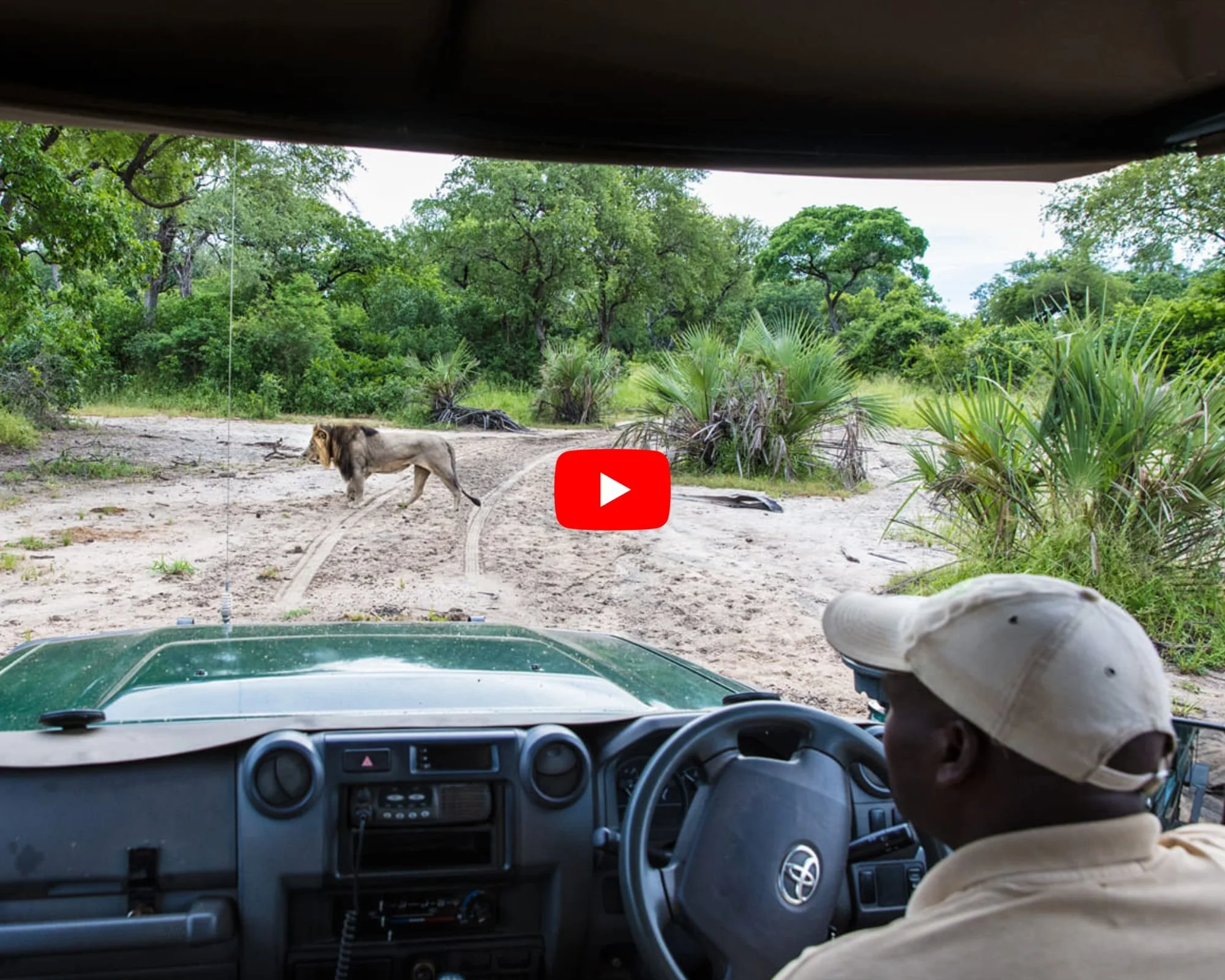 majete wildlife reserve safari.jpg