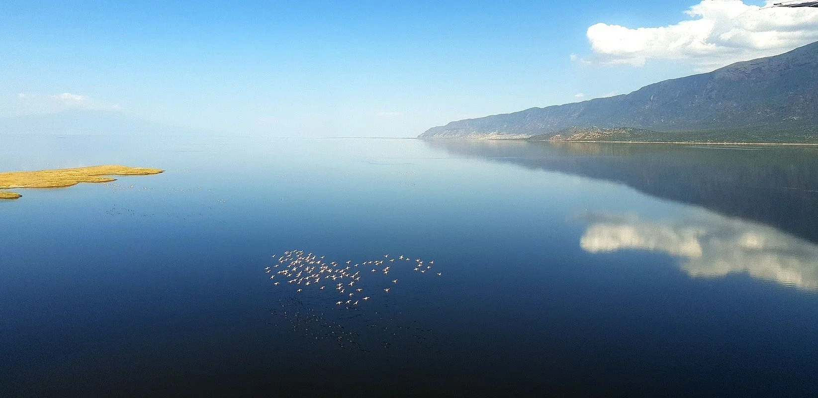 kenya flying safari 12.jpg