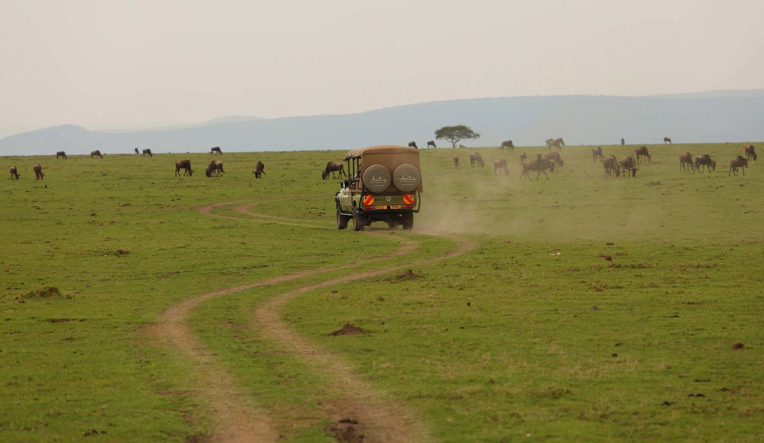 kenya naboisho camp.jpg