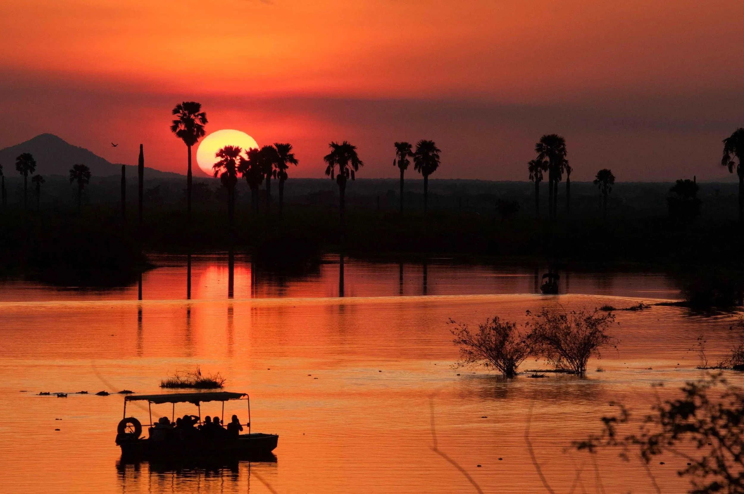 0-Boat Safari at sunset.jpg