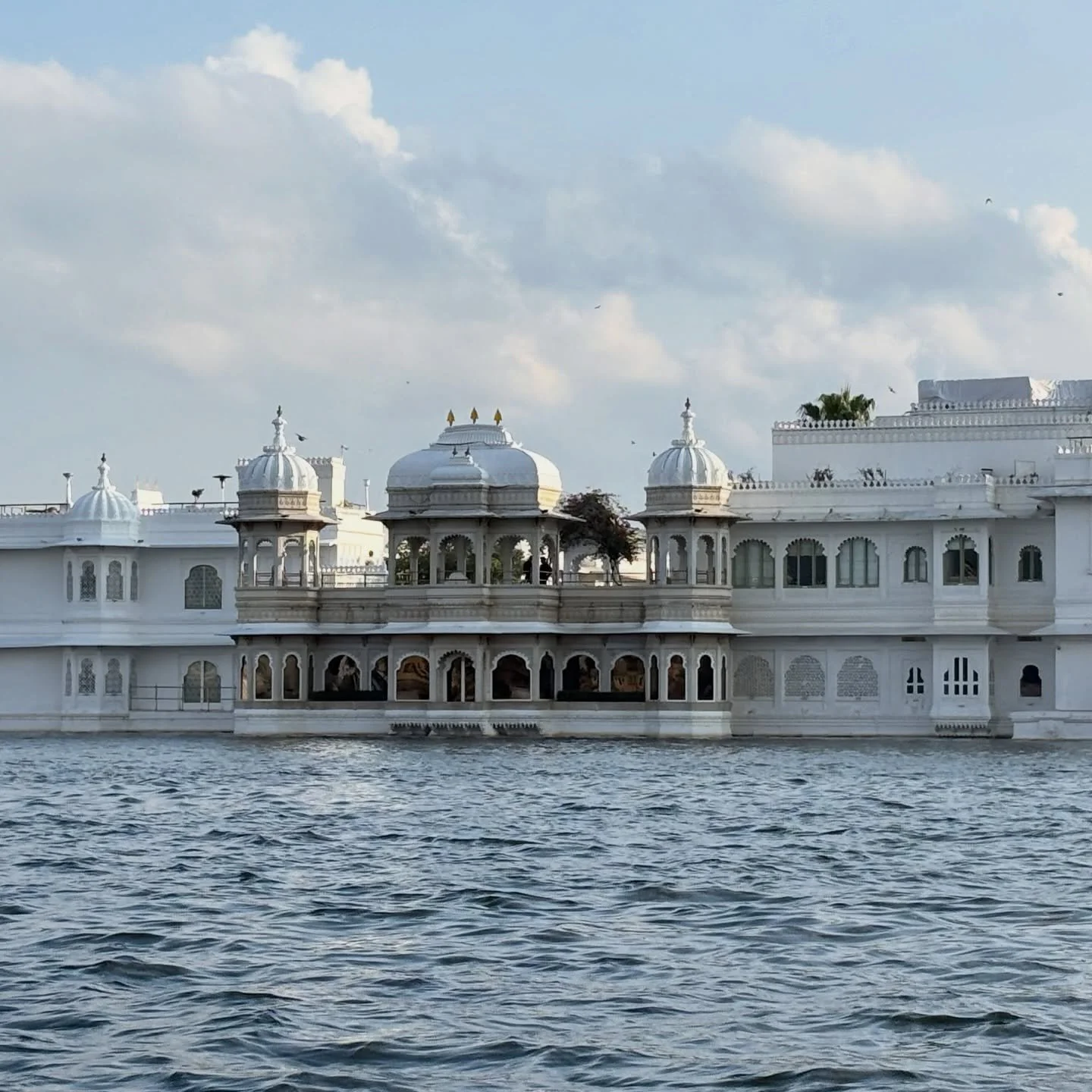 Be water in Udaipur 🪷

#PicholaLake