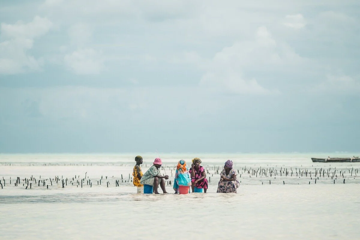 watamu kenya (2).jpg