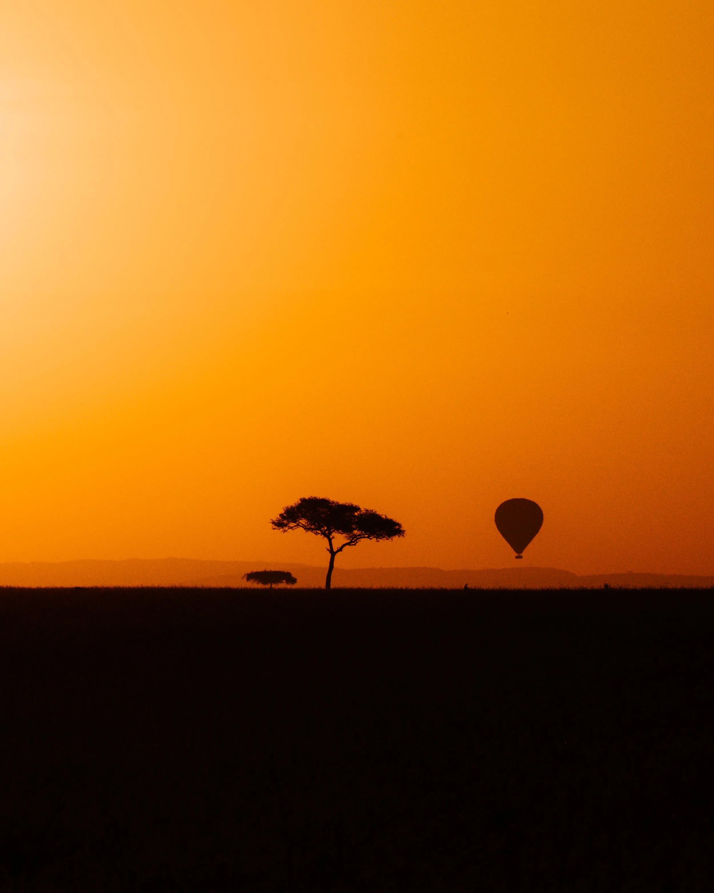 5-Balloon Safari.jpg