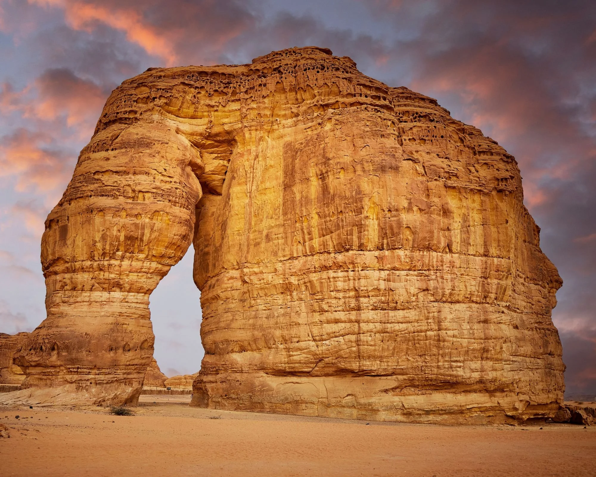 Portrait of Elephant Rock in Al-Ula, Saudi Arabia.jpg