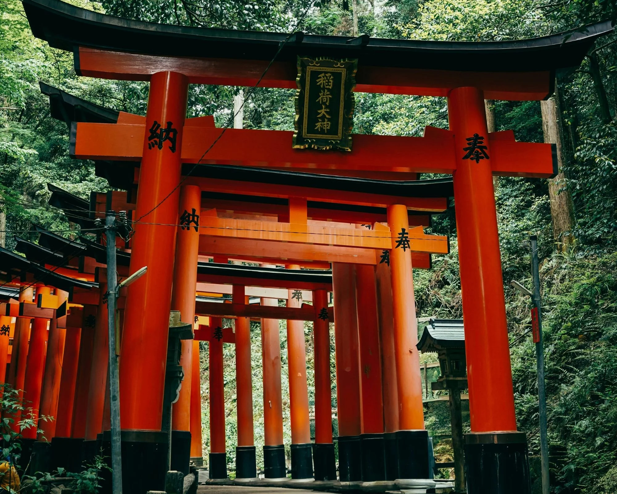 Vibrant Torii Gates Pathway in Kyoto's Fushimi Inari.jpg