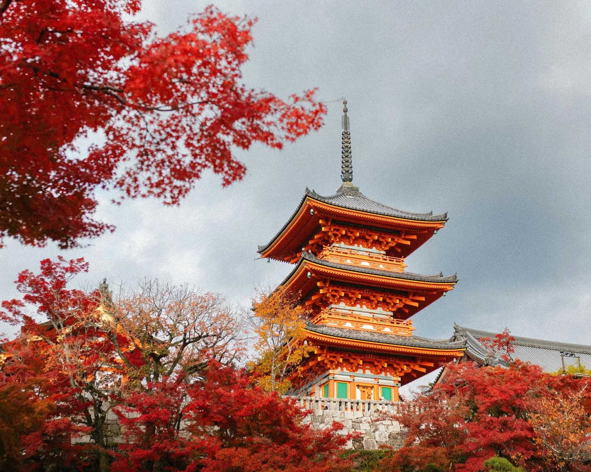 Stunning Kiyomizu-dera Temple in Autumn.jpg