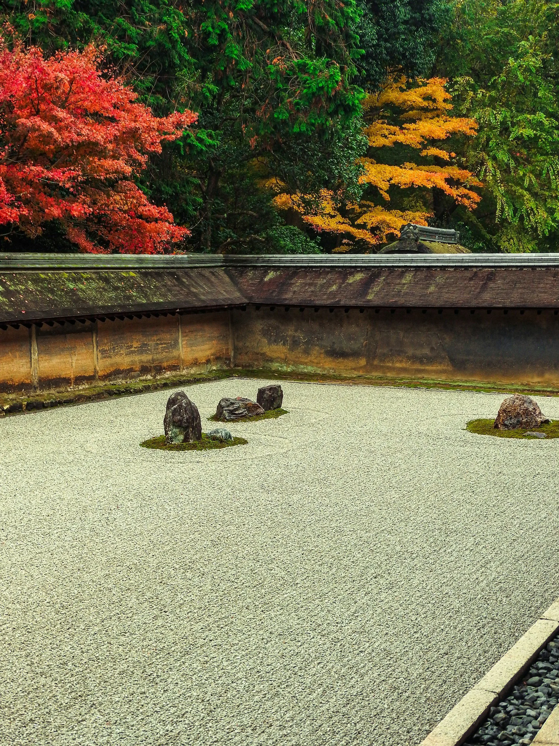 unsplash-image-1aJZ4NjQXys.jpg