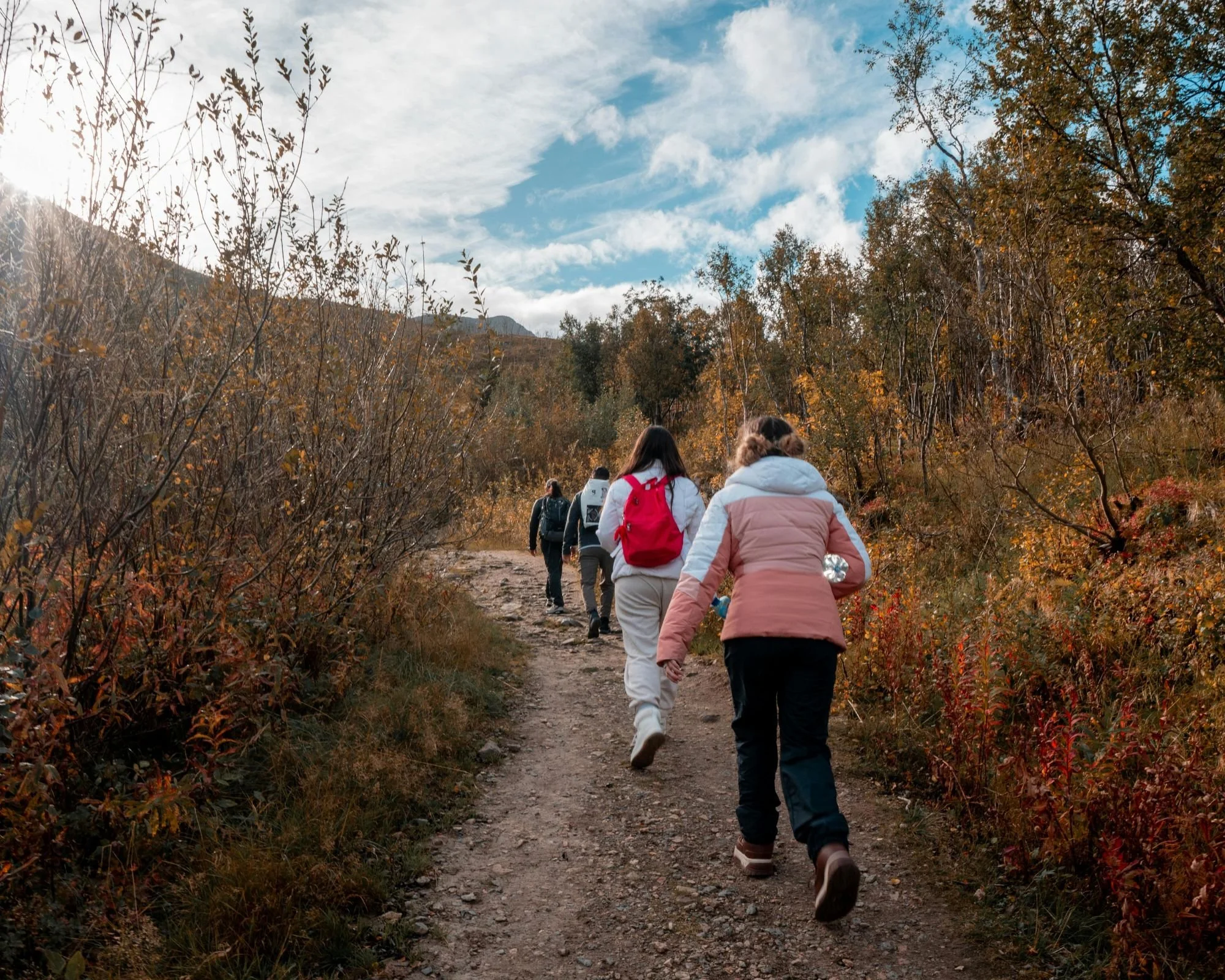 Scenic Autumn Hike in Tromsø, Norway.jpg