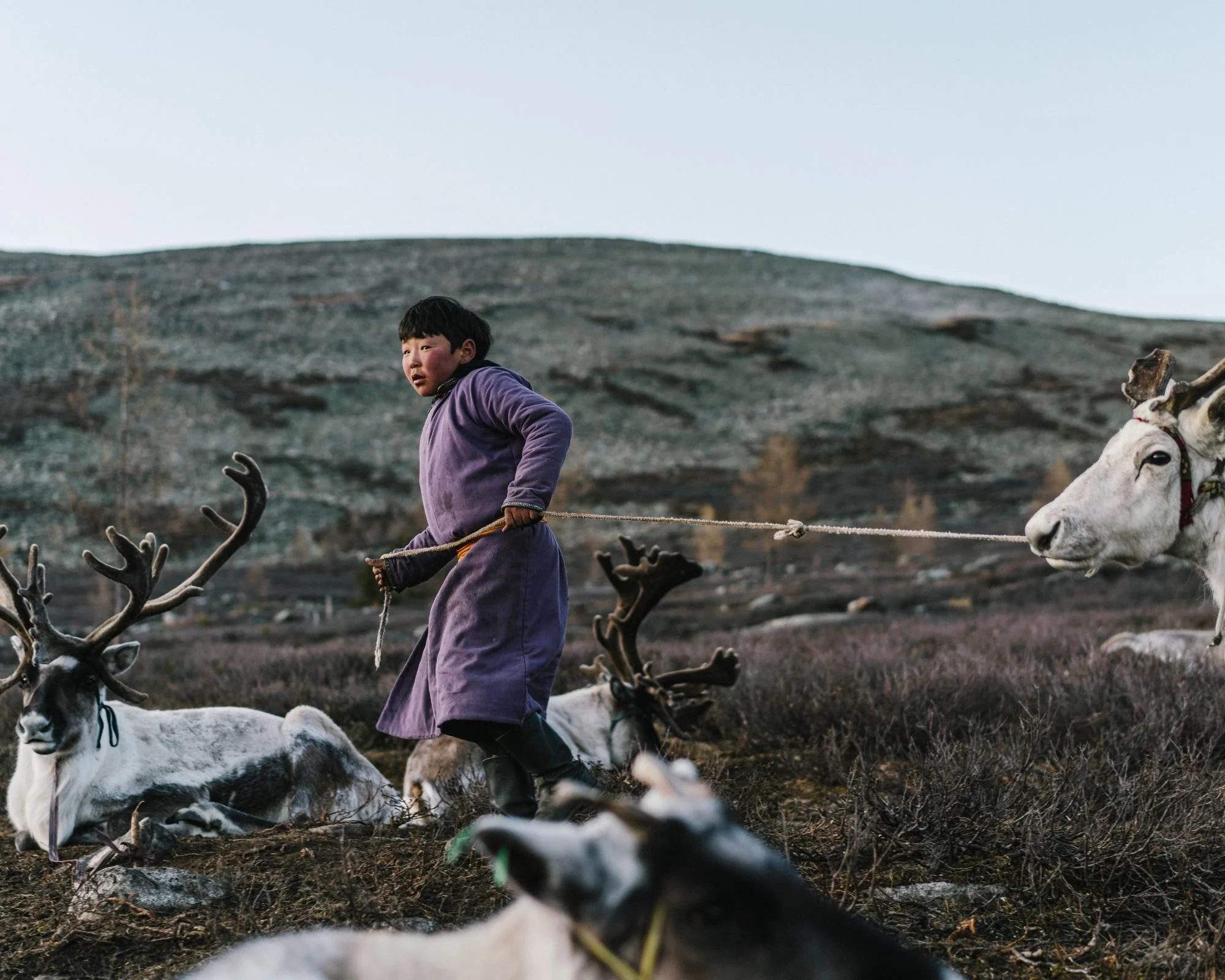 Mongolia: donde la tradición nómada se encuentra con el desierto