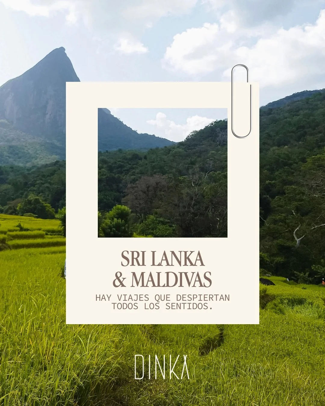 Una isla preciosa con historia, monta&ntilde;as cubiertas de plantaciones de t&eacute; y trenes que atraviesan paisajes entre la niebla&hellip;

📍 Sri Lanka &amp; Maldivas

Y si al final de ruta en Sri Lanka le a&ntilde;adimos Maldivas, lo podr&aacu