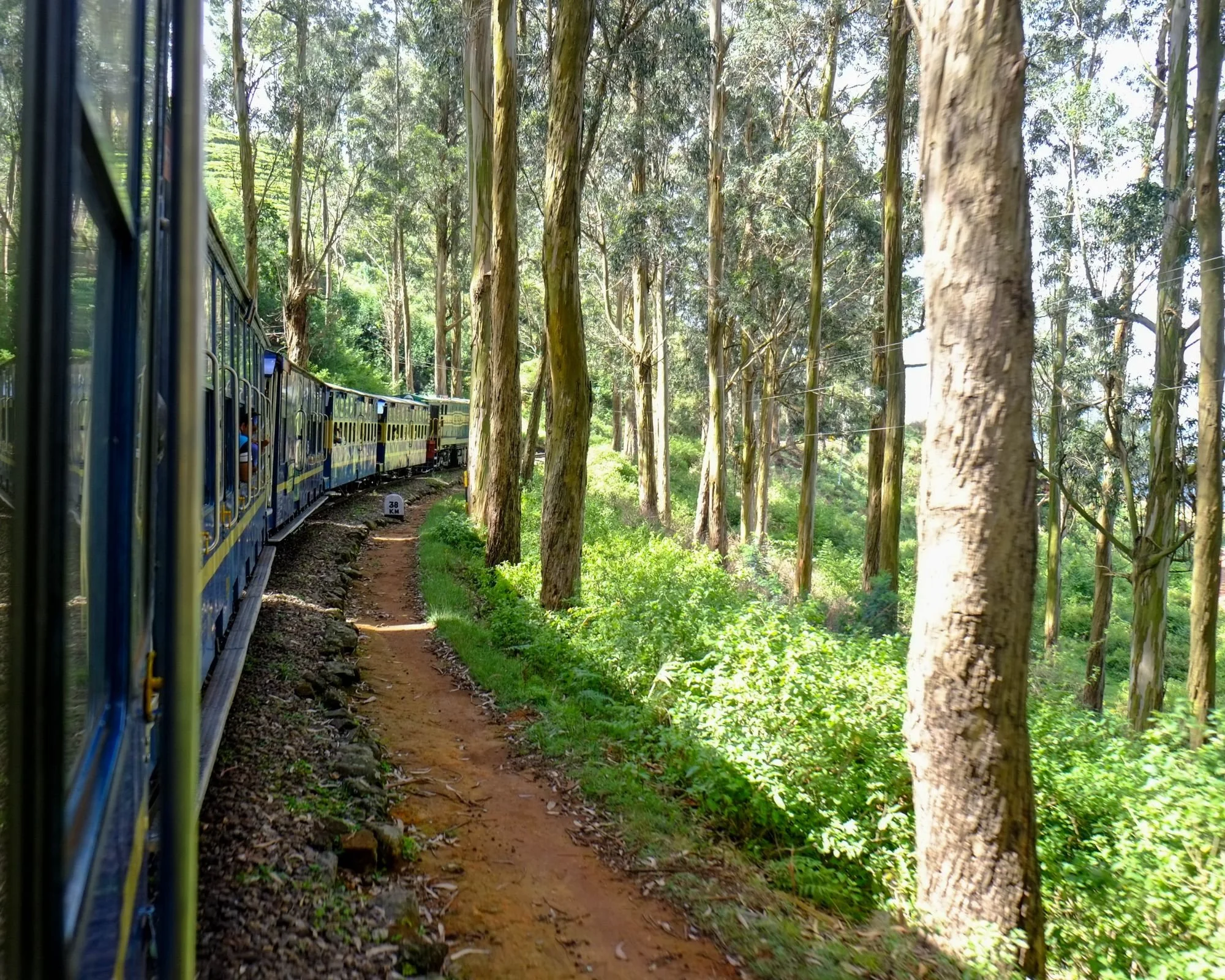 Nilgiri Mountain Railway_south India.jpg