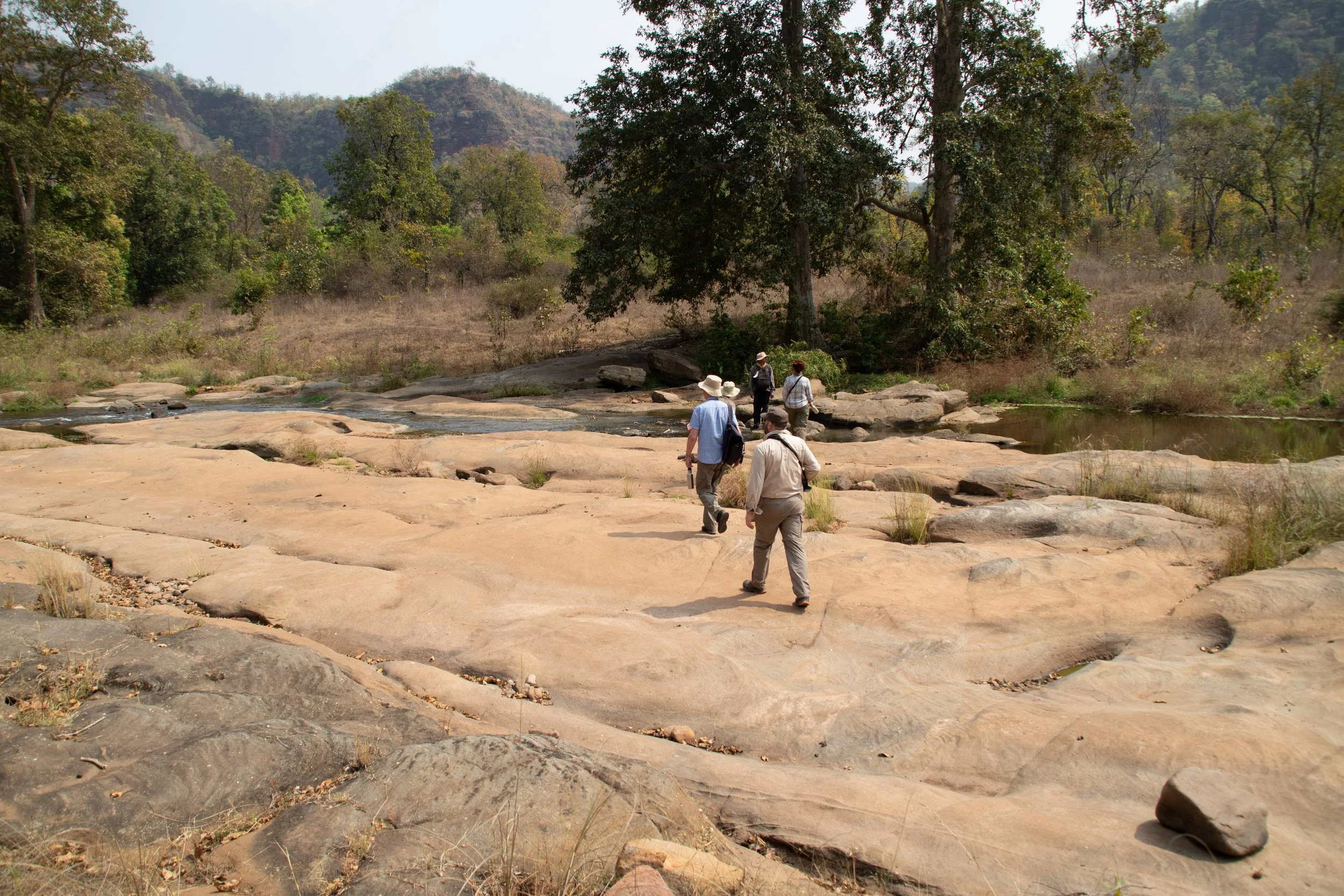 _ During Walk-8005.jpeg