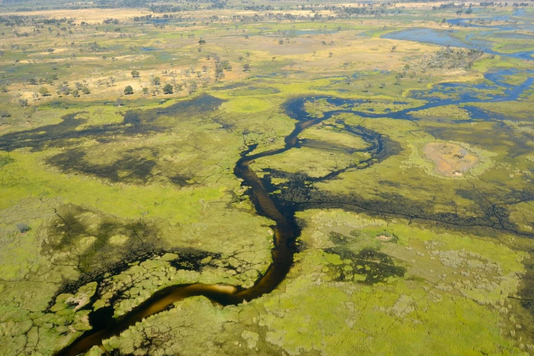 Vista aérea impresionante del Delta del Okavango en Botswana, donde se aprecian extensos paisajes verdes entrelazados con ríos, canales y lagunas.