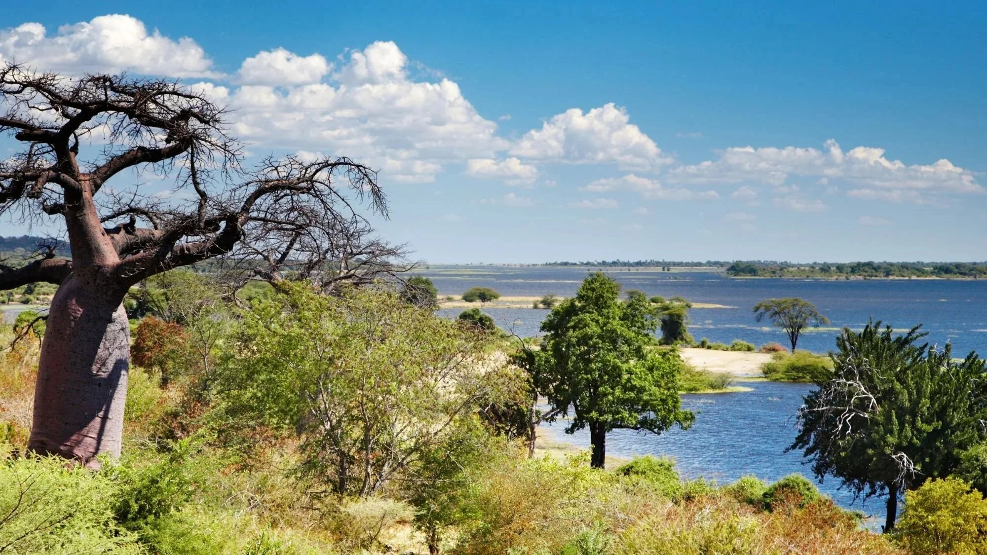 Vista desde arriba del río Chobe en Botswana, mostrando el río serpenteante, la sabana y los humedales circundantes.