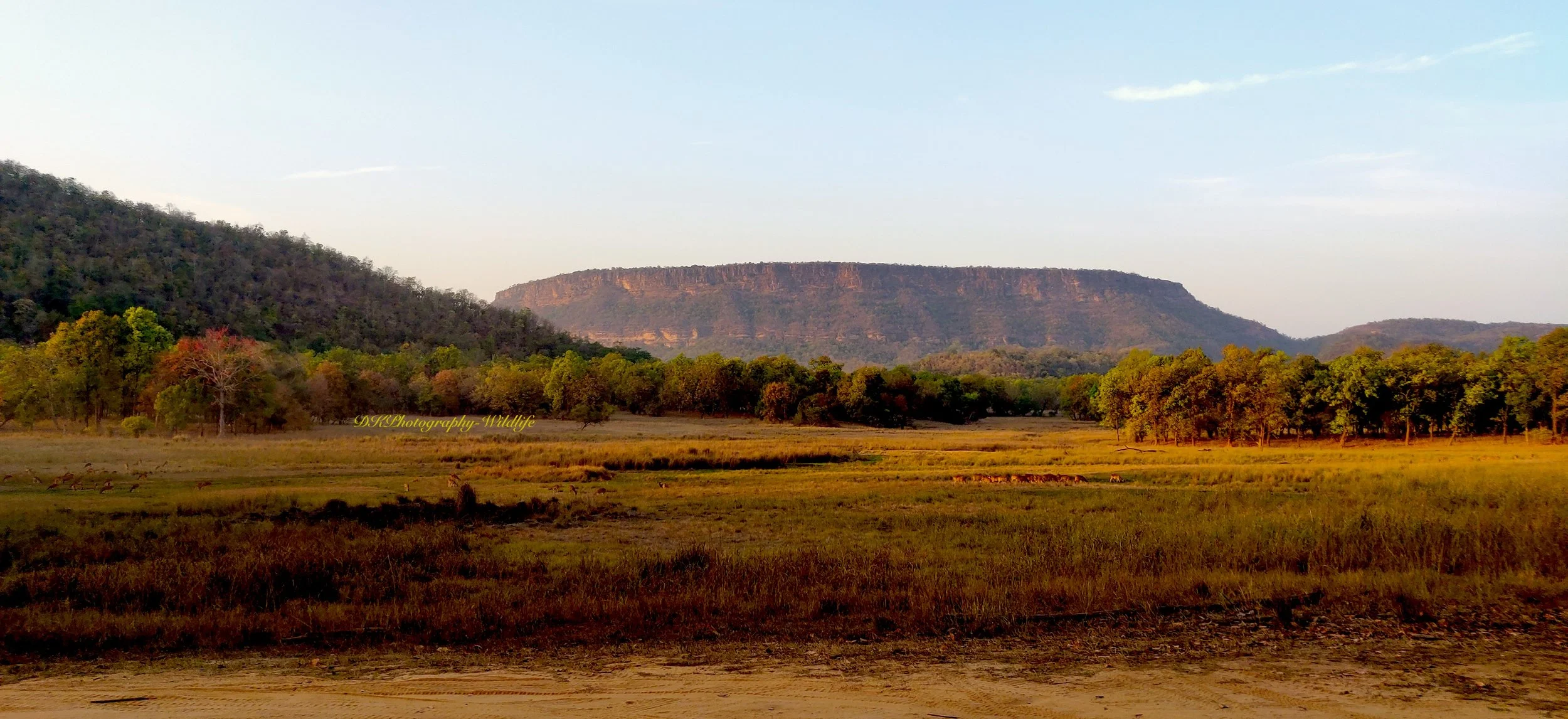 Bandhavgarh Landscape.jpeg