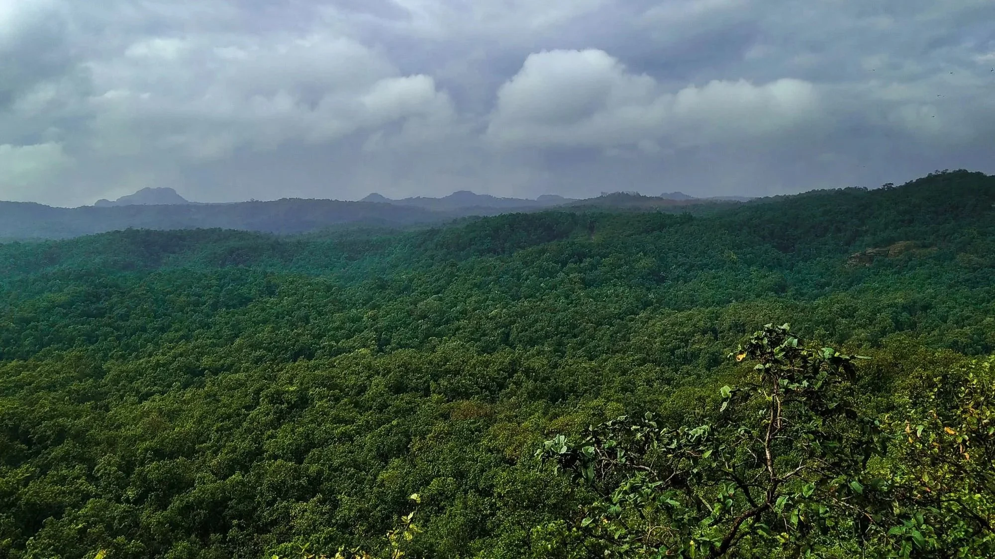 Satpura.jpg