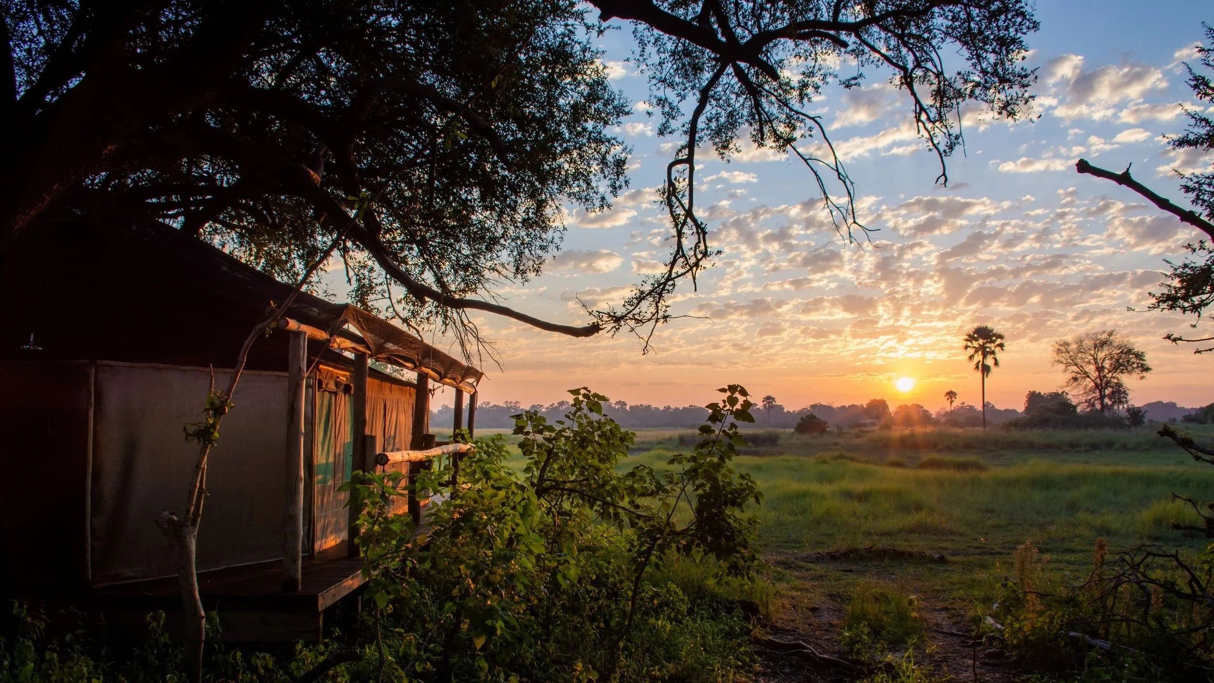 Al amanecer en Moremi Crossing, Botswana, las vistas desde la habitación hacia el paisaje verde del delta del Okavango se pueden observar los canales serpenteantes, aves exóticas volando