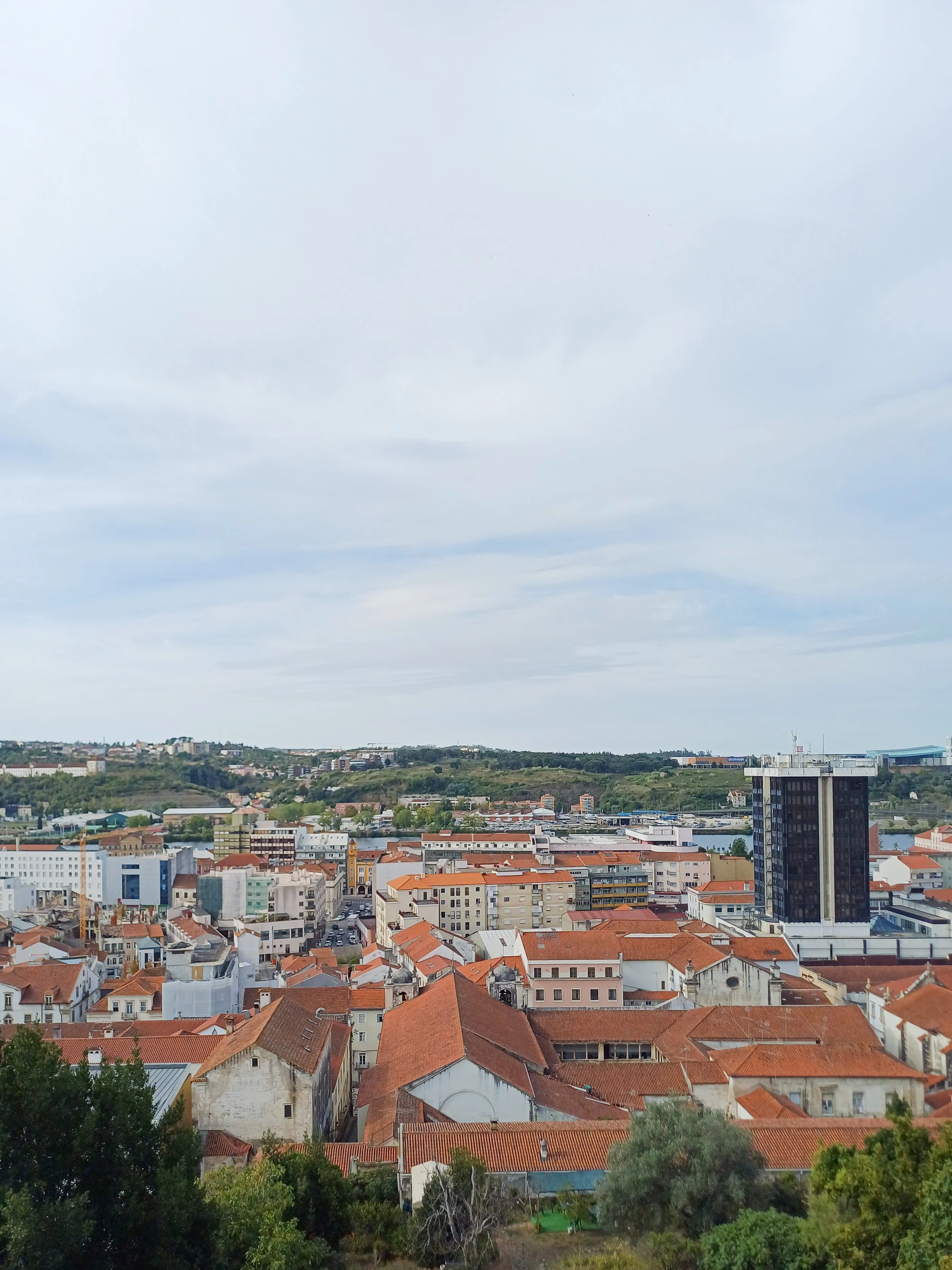20261002_110505.jpg