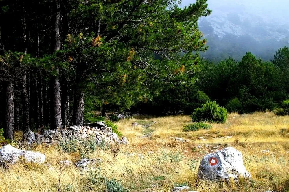 nature%2Bmosor%2Bhike.jpg