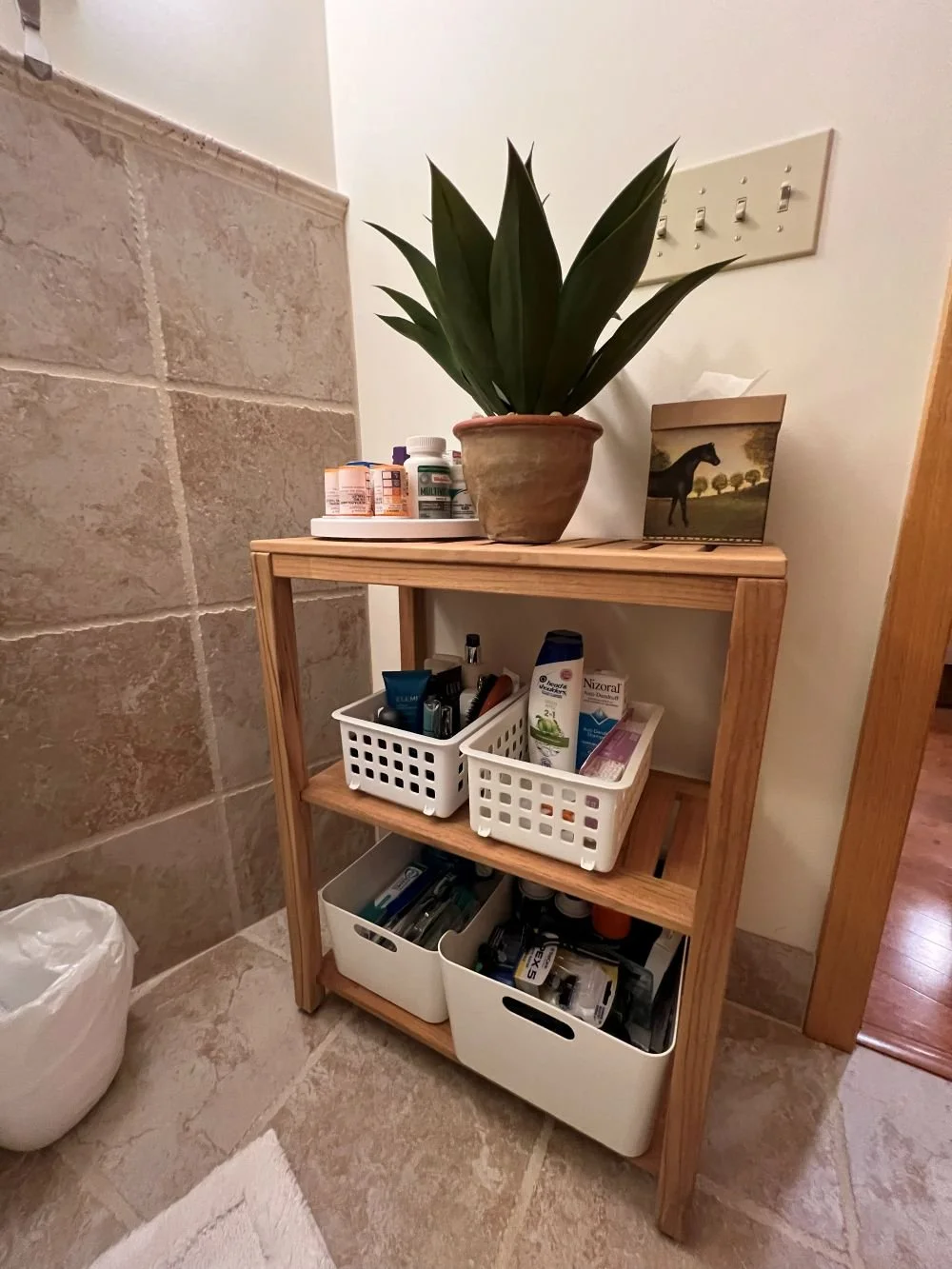 Temporary Bathroom Organization