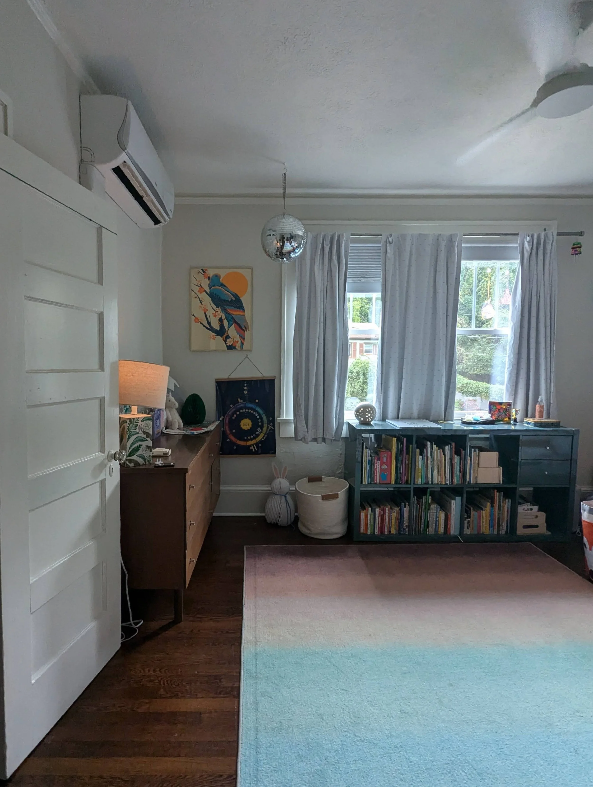 Toddler Room Toy Organization Asheville, NC.jpg