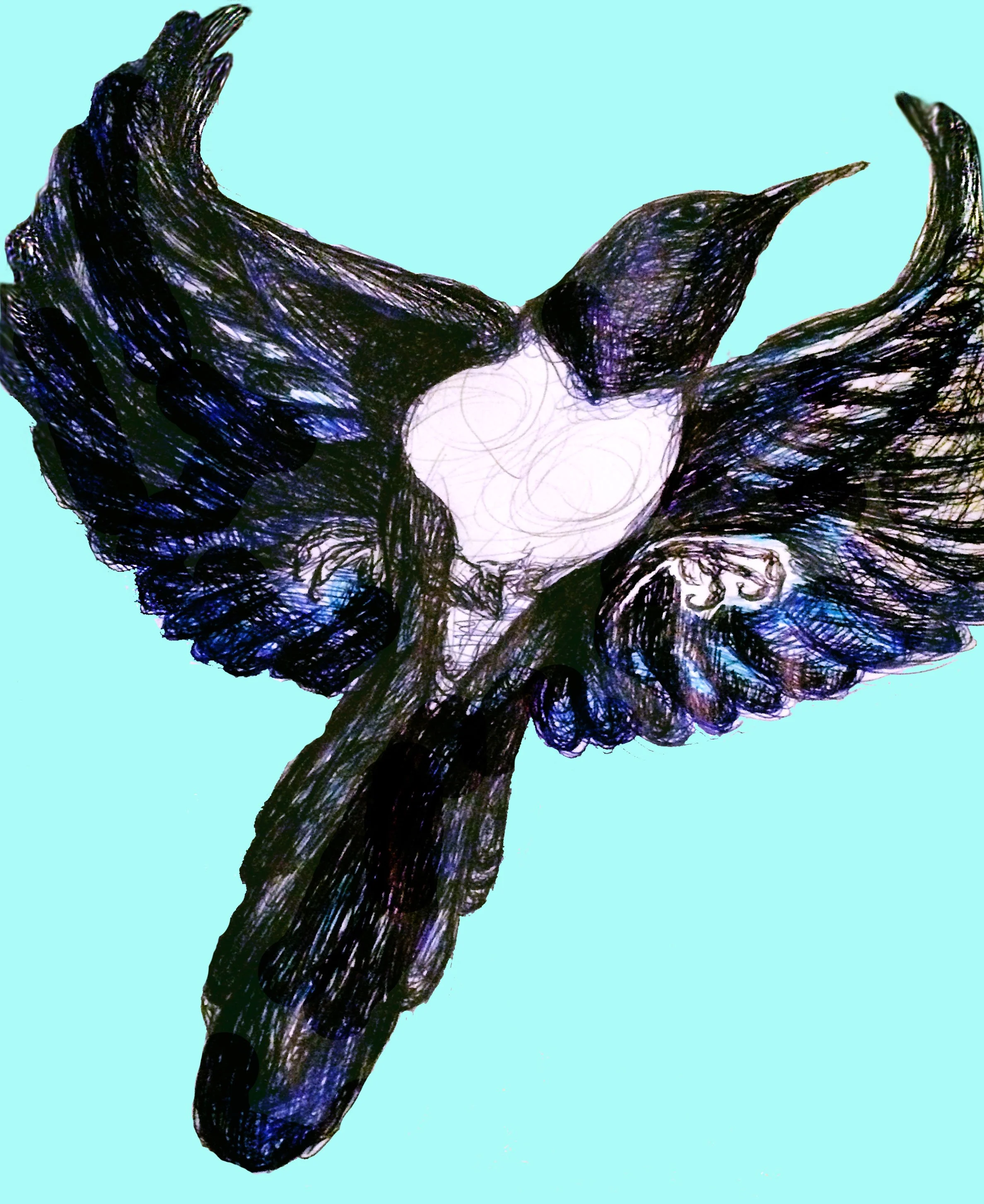 Pen Drawing & Mixed Media Creations
