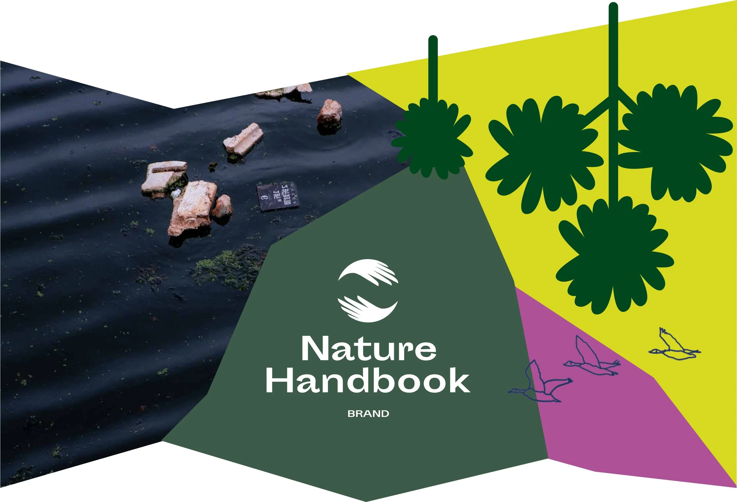 Nature Handbook — Clumsy Hands | Illustrator for colourful brands, image size:2500x1705