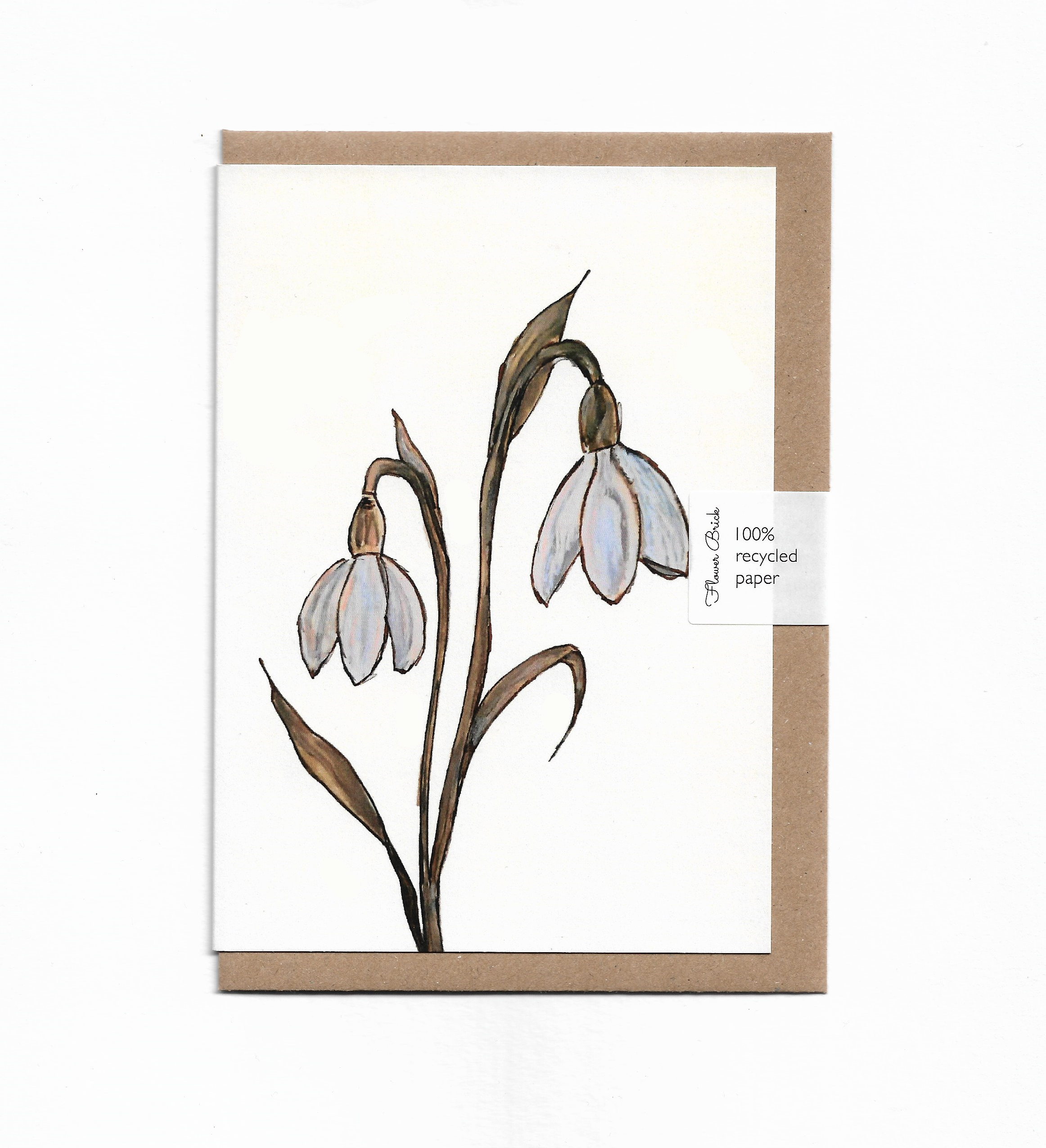 1.Snowdrops.png
