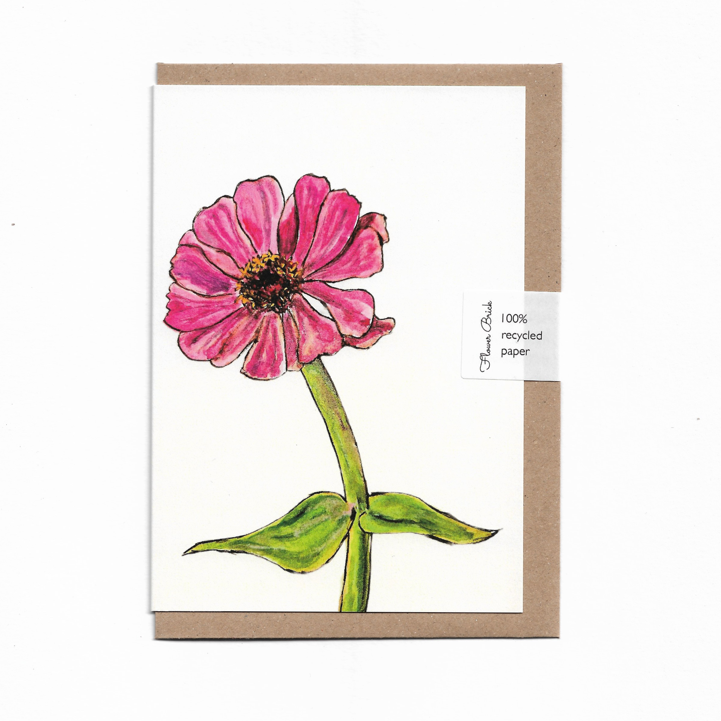 1. Zinnia.png