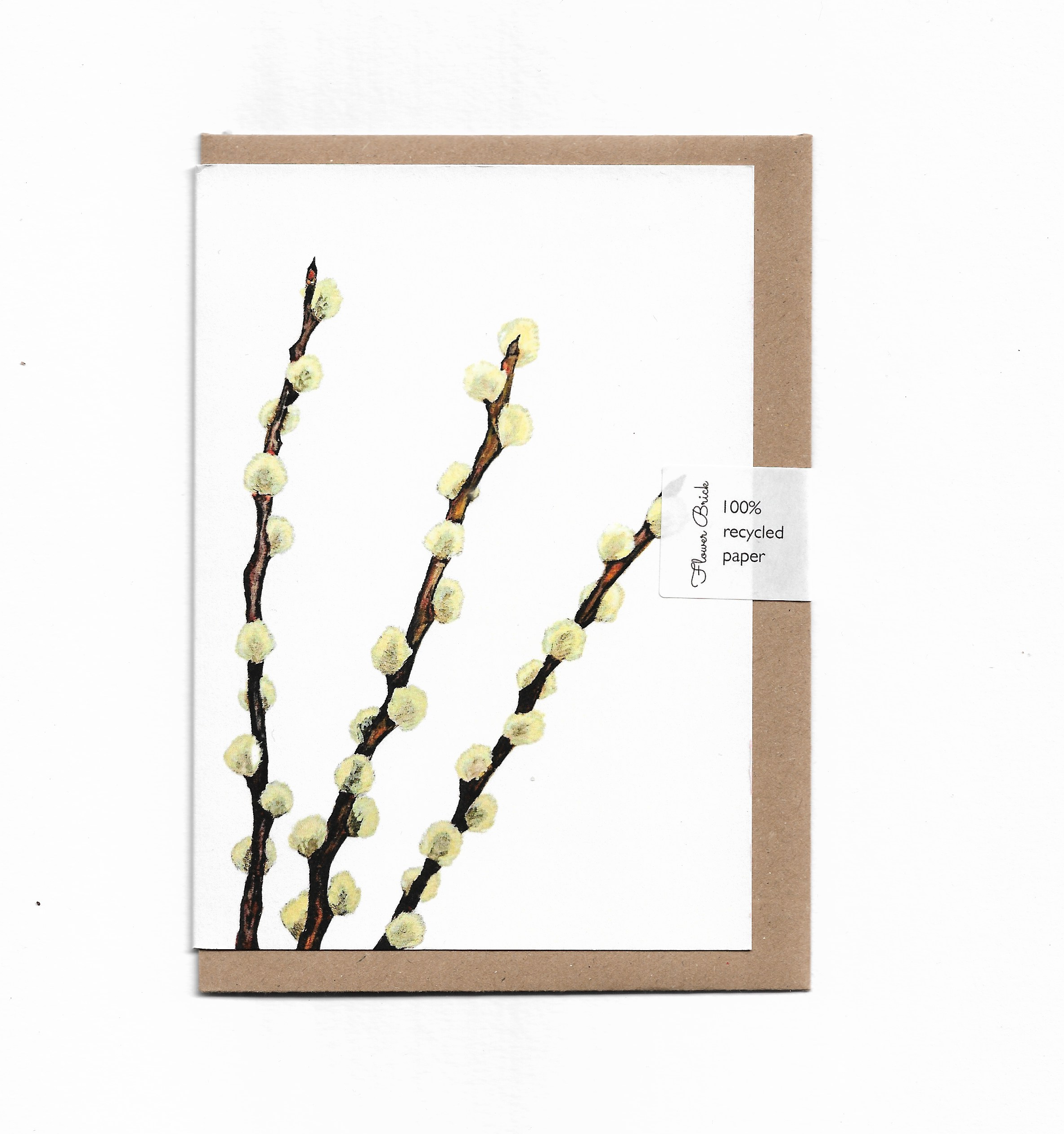 A6 100% Recycled "Pussy Willow" Greeting Card