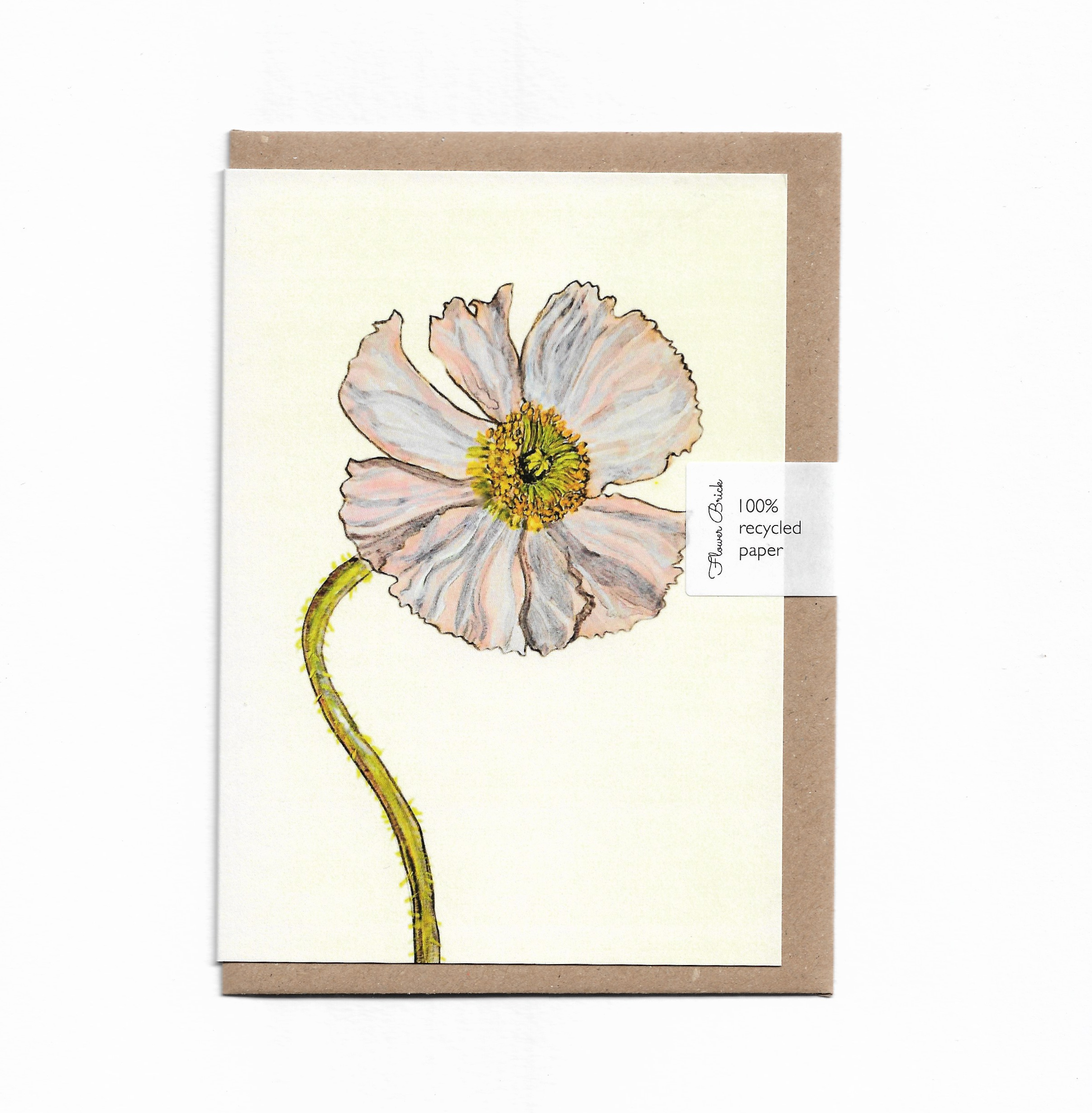 1 Icelandic Poppy.png