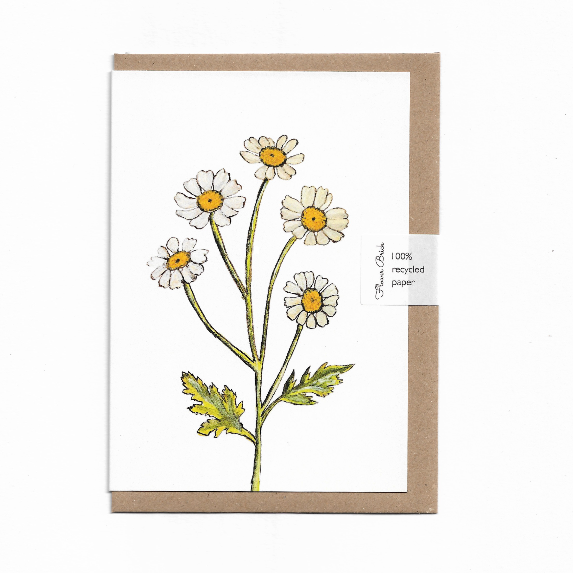 A6 100% Recycled "Chamomile" Greeting Card