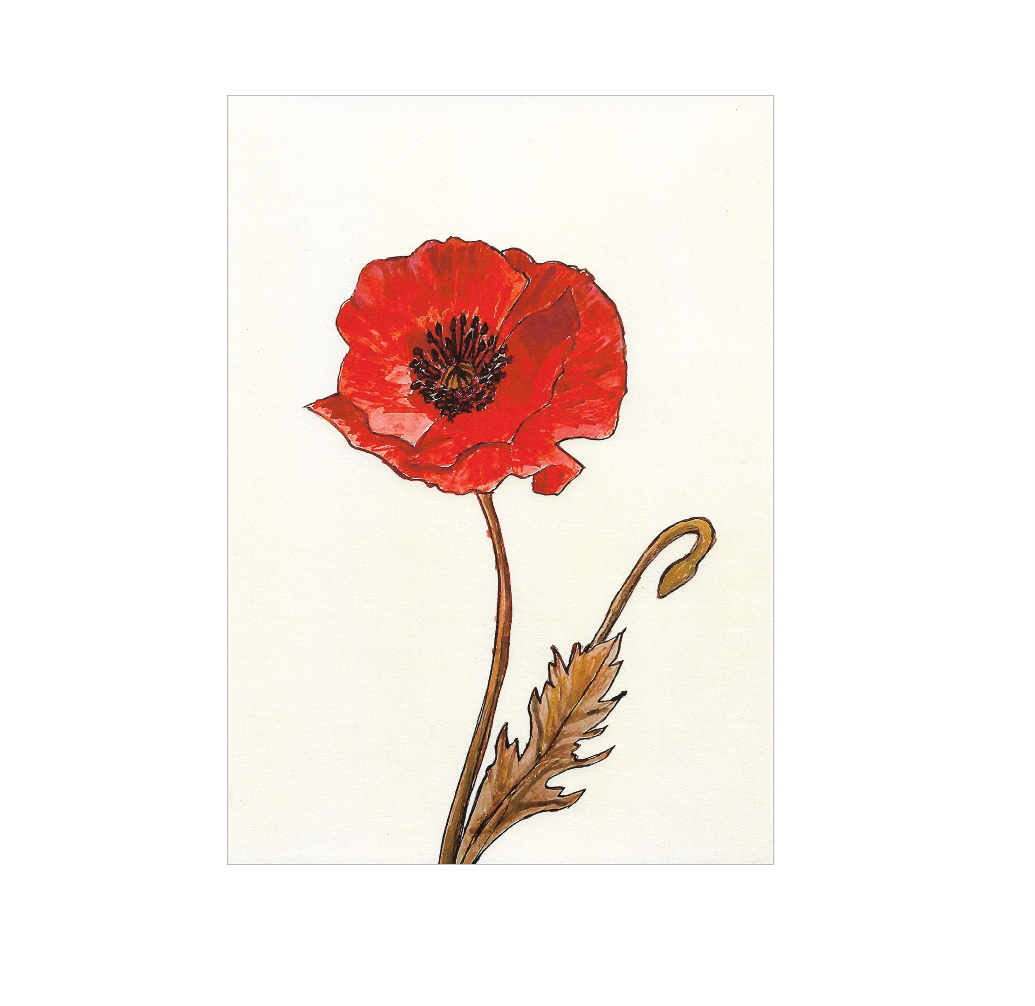 A4 100% Recycled "Poppy" Print