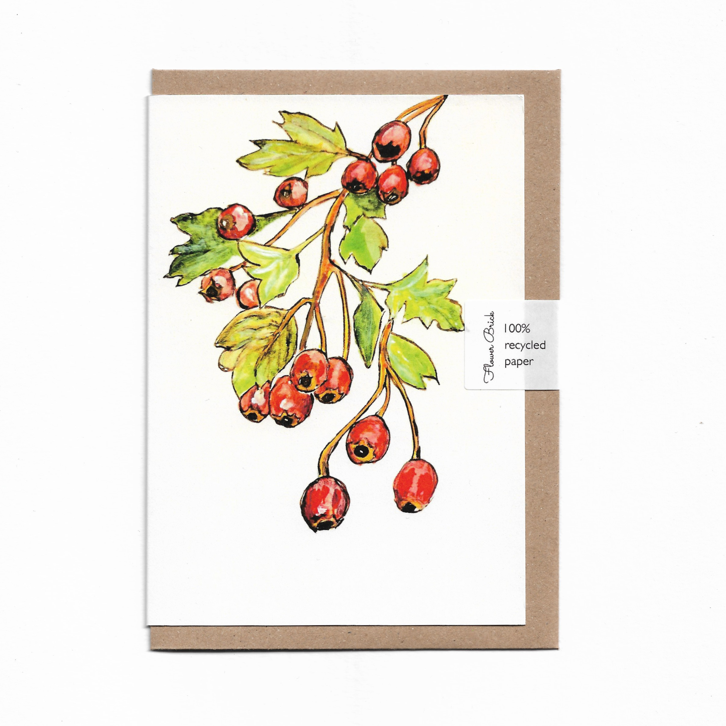 1. Hawthorn Berries.png